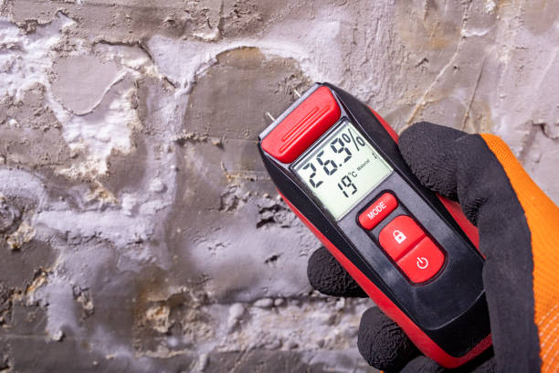 Best Mold Removal and Inspection  in Muskego, WI