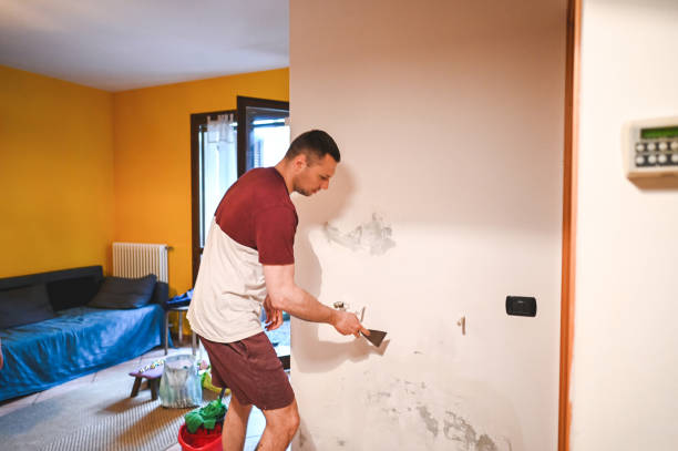 Professional Mold Removal in Muskego, WI