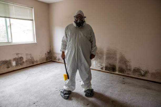 Best Mold Removal Process  in Muskego, WI