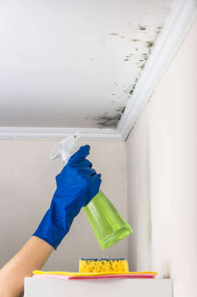Best Mold Testing  in Muskego, WI